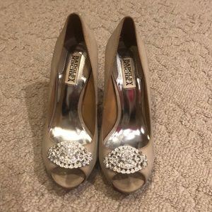 Bradley Mischka pump